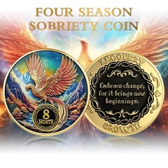 Blueweenly 14 Pcs Aa Sobriety Coins Set – 24 Hour Newcomer & 1-11 Month