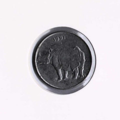 India 25 Paise 1991 Indian Rhinoceros Stainless Steel Coin