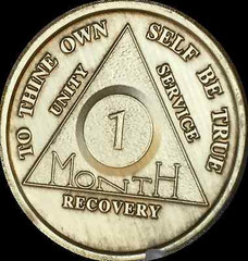 Alcoholics Anonymous AA 1 Month 30 Days Chip Medallion Medal Token Bronze Coin