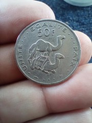 DJIBOUTI 1999 50 FRANCS, DROMEDARY CAMELS Coin