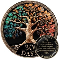 30 Days Sobriety Coin Tree of Life Gift Set | Anniversary Sobriety Gifts for Men