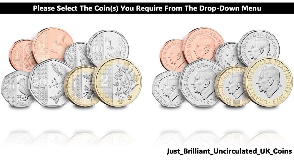 2023 Definitive Coins BU 1p 2p 5p 10p 20p 50p Salmon, £1 Bees & £2 – Privy Mark
