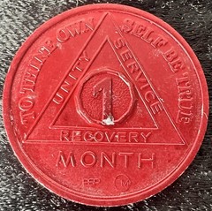 AA Aluminum Alcoholics Anonymous 1 recovery month Sobriety Chip Coin Token