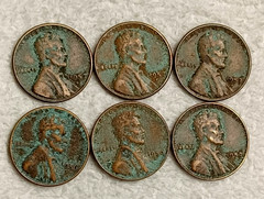 6 Wheat Cent GREEN PATINA Coins-Jewelry/Art/Craft App Uses-SEE DESC-FREE SHIP
