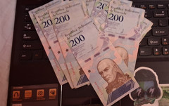 10 notes VENEZUELA parrot 🦜 animal