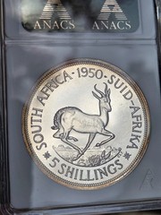 1950 South Africa 5 Shillings ANACS PROOF 65 “GEM” 1 oF 800 ” TOP POP”