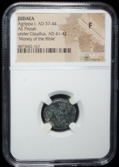 Judaea AE Prutah Herod Agrippa I AD 37–44 NGC LG Coin Ancient Roman Empire~