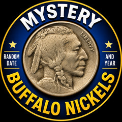 MYSTERY SINGLE COIN | RANDOM YEAR AND CONDITION