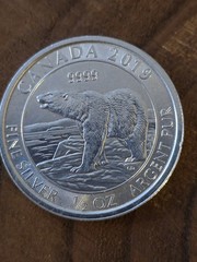 2019 Canada 1/2 oz Silver Polar Bear .9999 Pure Silver
