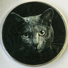 Grey Cat – American Silver Eagle Limited Edition .999 Silver Dollar Coin