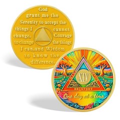CHURYUML 14 Year Sobriety Coin – One Day at a Time Sober Chip, Affirmation AA…