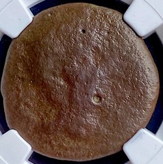 Very Large 200BC-151BC NGC Graded Ancient Celtic Iberian Coin Castulo Rare