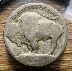 1913-D Type 1 Raised Mound Buffalo Nickel – No Date – Actual Coin Shown – INV66