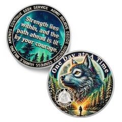 One Day at a Time 30 Day Sobriety Coin – Recovery Aurora Forest Wolf AA Coins –