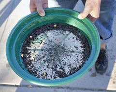 CLASSIFIER SIFTING PAN | 1/8″ | STAINLESS STEEL SCREEN EARTH SIFTER STACKABLE