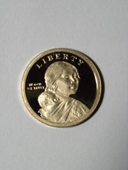 2014-S Sacagawea Native American Dollar Proof