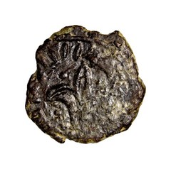 RARE Lily UMAYYAD: AE fals (1.23g), ‘Amman, A-166, W-905, Bone-4.2 Coin