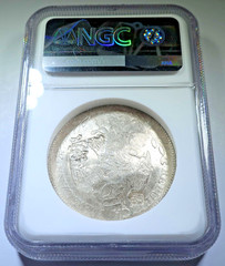 NGC Chopmarks 1876 Mexico Silver 8 Reales Genuine 1800’s Libertad Dollar 8R Coin